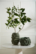 Michoacán Avocado Pot