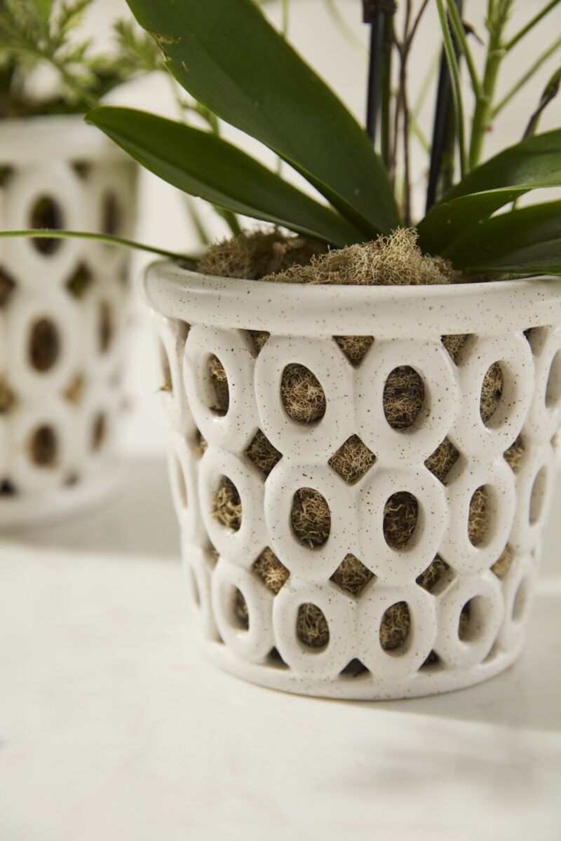 Biri Orchid Pot