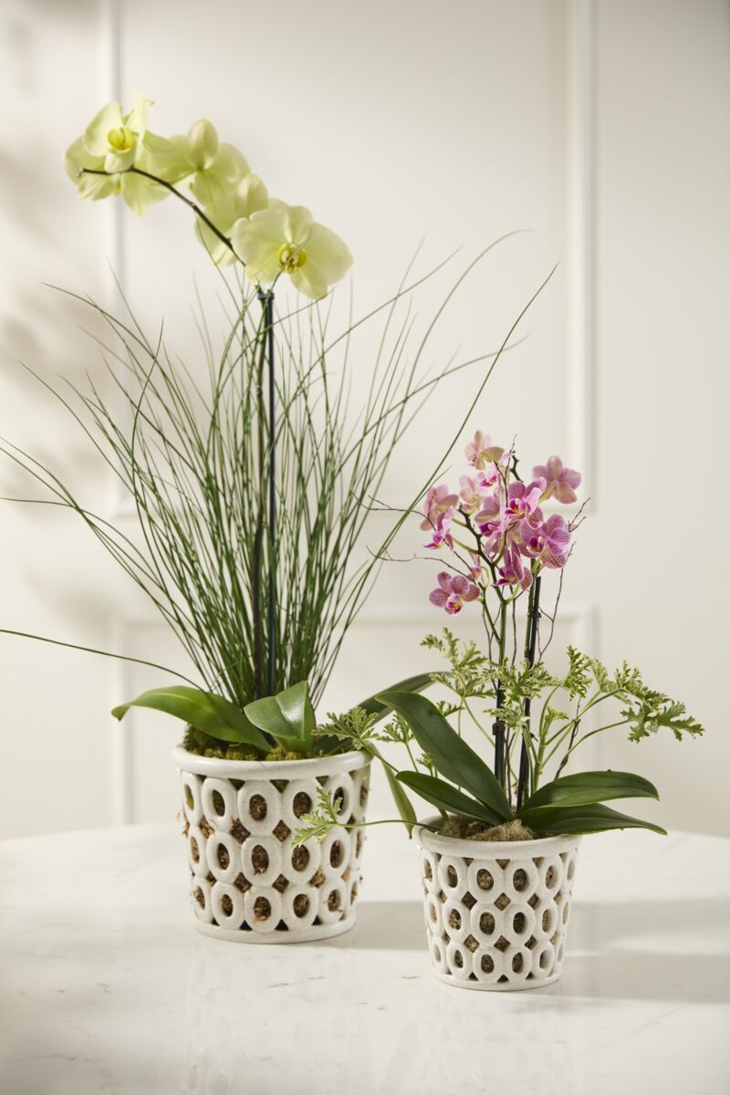 Biri Orchid Pot